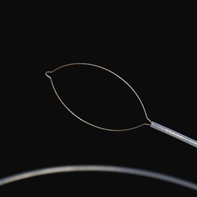 جوڙي قسم پرڏيهي جسم فورسس