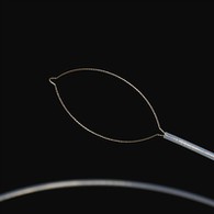 نيٽ قسم پرڏيهي جسم فورسس